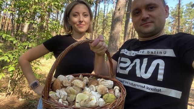 Пошло дело! белые грибы Пошло дело! белые грибы