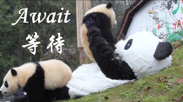 Amazing china: await 美丽中国:等待 Amazing china: await 美丽中国:等待
