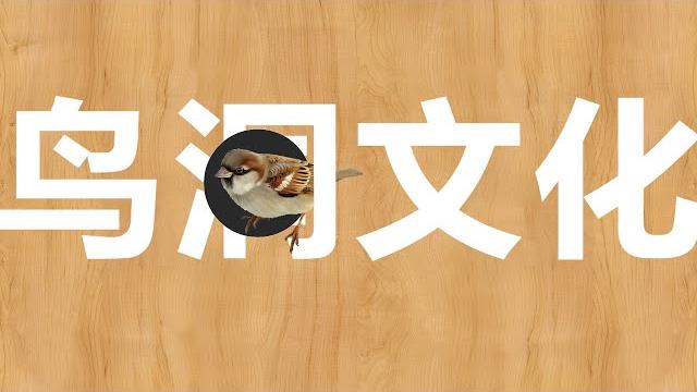 鸟洞文化(厕所隔间那点事) 鸟洞文化(厕所隔间那点事)