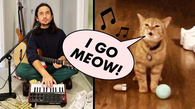 The kiffness x cala - i go meow (singing cat) The kiffness x cala - i go meow (singing cat)