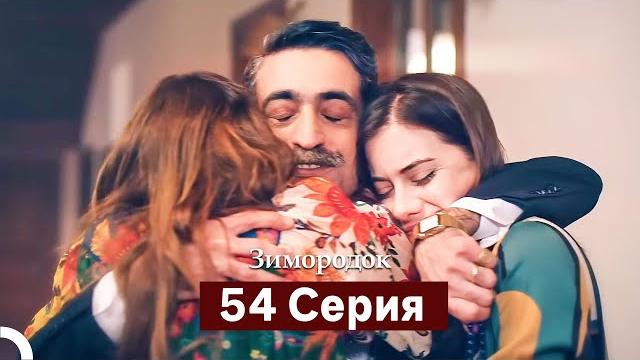 Зимородок 54 cерия (русский дубляж) Зимородок 54 cерия (русский дубляж)