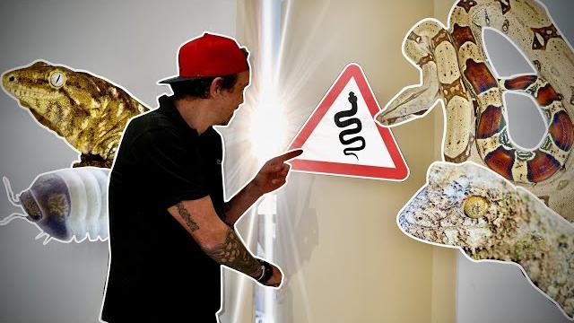 Ma nouvelle pièce d'élevage !! -toopet Ma nouvelle pièce d'élevage !! -toopet