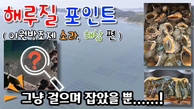 해루질 포인트 (이원방조제 폐양식장) #해삼 #소라 #태안 #해루질 해루질 포인트 (이원방조제 폐양식장) #해삼 #소라 #태안 #해루질