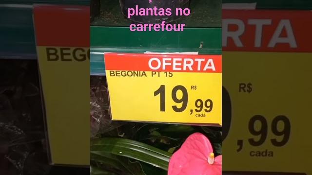 Preços das plantas no carrefour em promoção Preços das plantas no carrefour em promoção