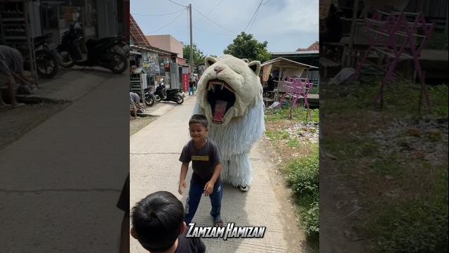 Bocil ff joget di depan can macanan Bocil ff joget di depan can macanan