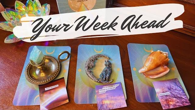 The next seven days what will happen? pick a card The next seven days what will happen? pick a card