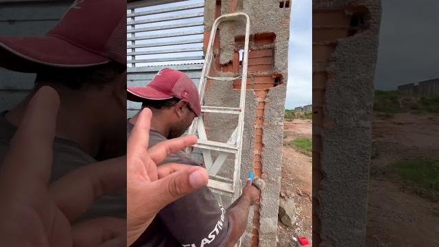 Ele manja Ele manja
