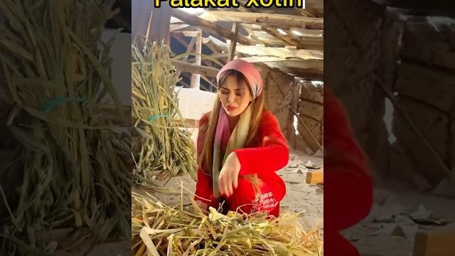 Palakat xotin #komedi #rek #kulgu #comedy #uzbek #vines #kazakhstan #funny #uzbekistan Palakat xotin #komedi #rek #kulgu #comedy #uzbek #vines #kazakhstan #funny #uzbekistan