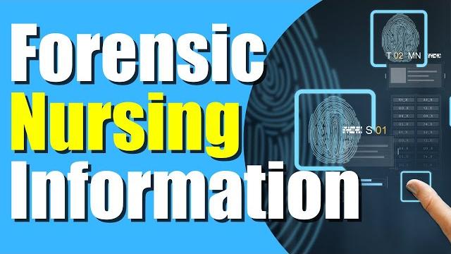 Forensic nurse all you need to know about forensic nursing | day in the life of a nurse Forensic nurse all you need to know about forensic nursing | day in the life of a nurse