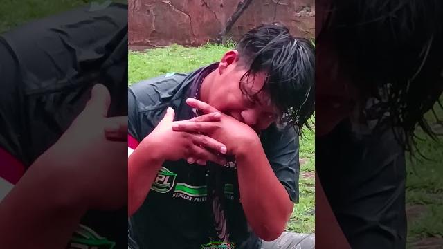 Kalapan bantengan mode ganteng #shorts Kalapan bantengan mode ganteng #shorts