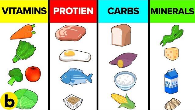 How the six basic nutrients affect your body How the six basic nutrients affect your body