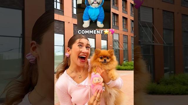Omg your dog if you… #shorts #short Omg your dog if you… #shorts #short