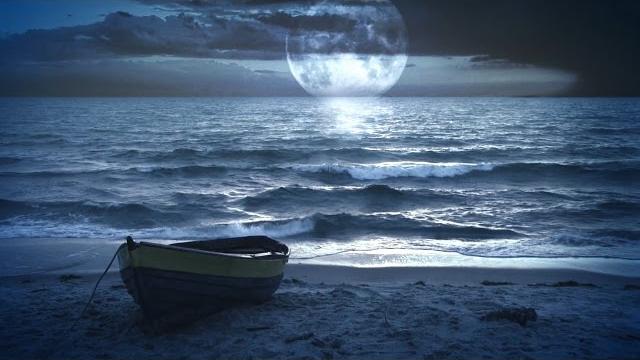 Ocean sounds and forest nature sound: meditation, sleep Ocean sounds and forest nature sound: meditation, sleep