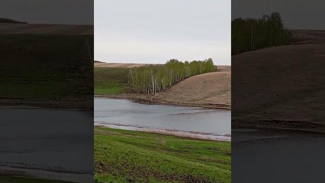 Алтай в мае. Алтай в мае.