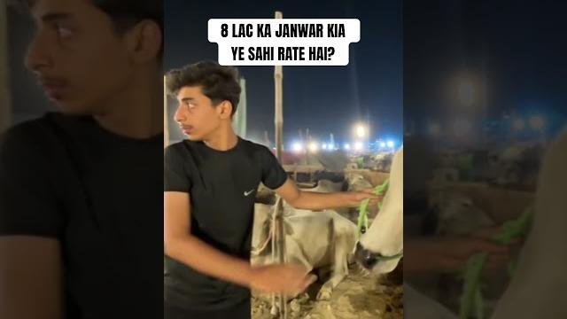 Kitne ka hona chaye? | #bakraeid2025 #bakramandi2025 #vlog #qurbani #eiduladha #mandi #shorts Kitne ka hona chaye? | #bakraeid2025 #bakramandi2025 #vlog #qurbani #eiduladha #mandi #shorts