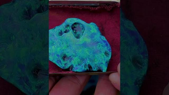 241 carat gem black opal. worth $482,000 #gemstone #blackopal #opal #jewelry #lightningridge 241 carat gem black opal. worth $482,000 #gemstone #blackopal #opal #jewelry #lightningridge