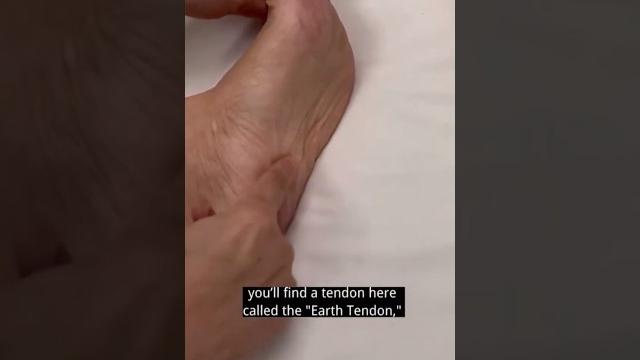 Unlock your longevity tendon Unlock your longevity tendon