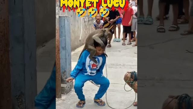 Topeng monyet kocak#shorts #viral #meme #memes #story Topeng monyet kocak#shorts #viral #meme #memes #story