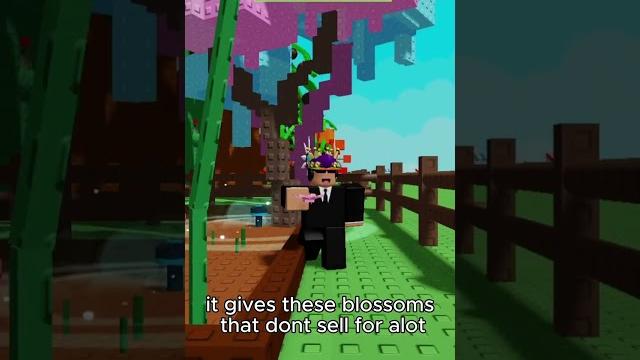 Patchedhow to get secret cherry blossom seed in grow a garden #shorts #roblox #growagarden Patchedhow to get secret cherry blossom seed in grow a garden #shorts #roblox #growagarden