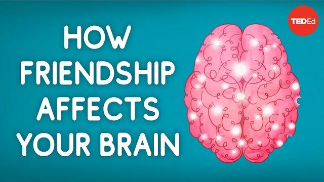 How friendship affects your brain - shannon odell How friendship affects your brain - shannon odell