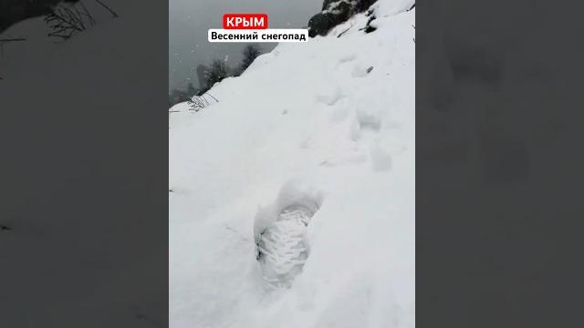 Весенний снегопад в крыму || #погода || #весна Весенний снегопад в крыму || #погода || #весна