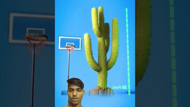 Hidden cam #funny #smartphone #tech #shortvideo Hidden cam #funny #smartphone #tech #shortvideo