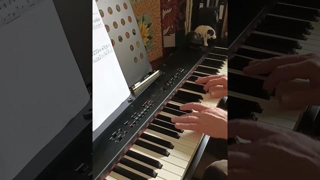 Satie vexations Satie vexations