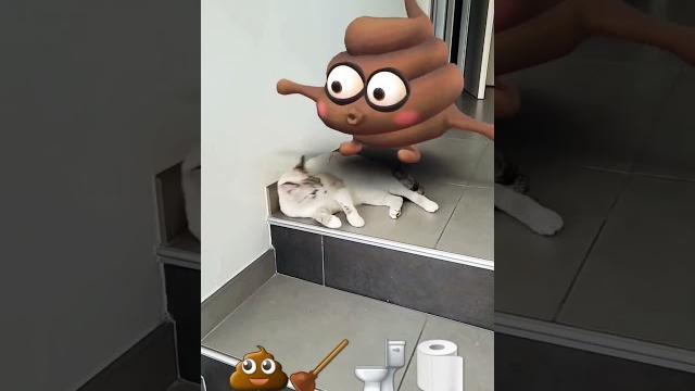 Looping #shorts #song #comedy #cat #shortsviral #viraltiktok #caca #cute #viraldance #viral Looping #shorts #song #comedy #cat #shortsviral #viraltiktok #caca #cute #viraldance #viral