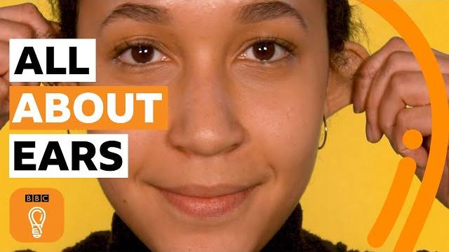 Why your ears are unique (and amazing!) | bbc ideas Why your ears are unique (and amazing!) | bbc ideas