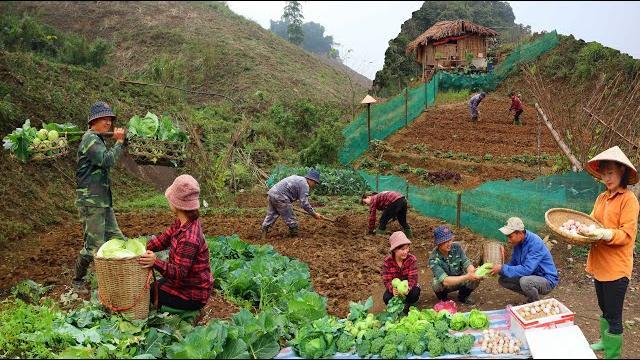 Full video | life on the farm growing, raising, harvesting and selling agricultural products Full video | life on the farm growing, raising, harvesting and selling agricultural products