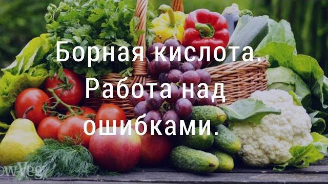 Борная кислота. работа над ошибками Борная кислота. работа над ошибками