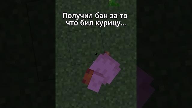 Бро, это фантайм! #funtime#funsky#nursultan#delta#celestial#wexside#holyworld#spookytime#cheats Бро, это фантайм! #funtime#funsky#nursultan#delta#celestial#wexside#holyworld#spookytime#cheats