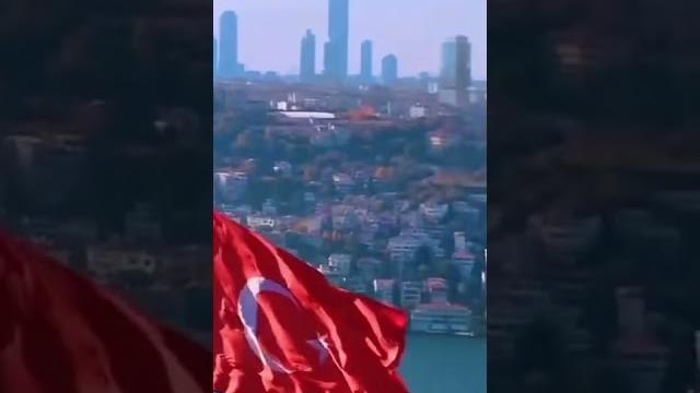 Türk bayragi Türk bayragi