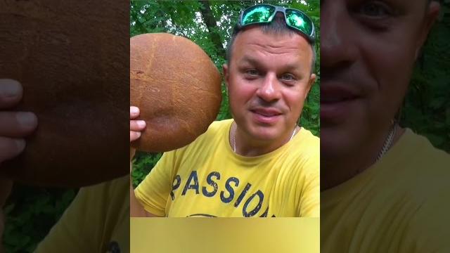 Как быстро без снастей поймать карпа! #shorts Как быстро без снастей поймать карпа! #shorts