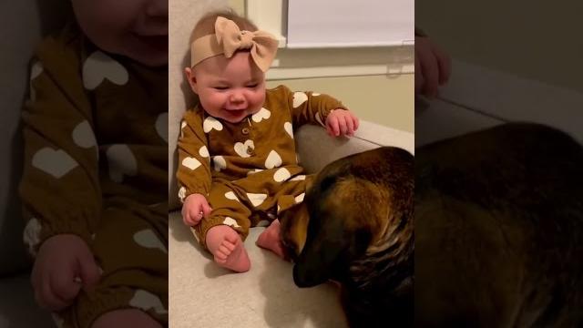Baby delighted by dog tickling feet Baby delighted by dog tickling feet