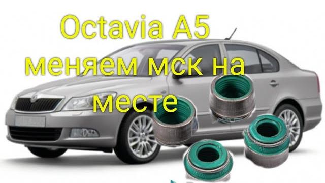 Octavia a5 1.6 меняем маслосъемные колпачки на месте Octavia a5 1.6 меняем маслосъемные колпачки на месте