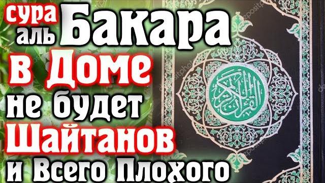 Включайте суру бакара в доме не будет шайтанов и всего плохого - аллах дает милость и защиту Включайте суру бакара в доме не будет шайтанов и всего плохого - аллах дает милость и защиту