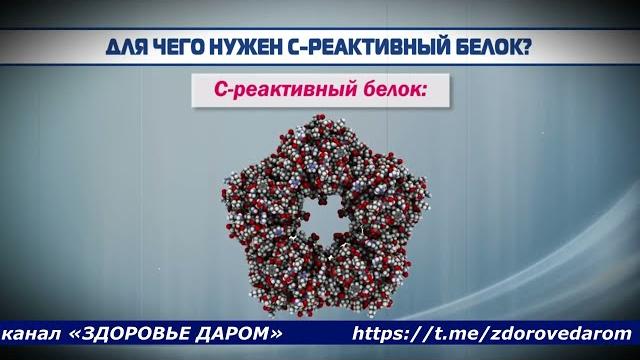 С реактивный белок повышен в крови, причины С реактивный белок повышен в крови, причины