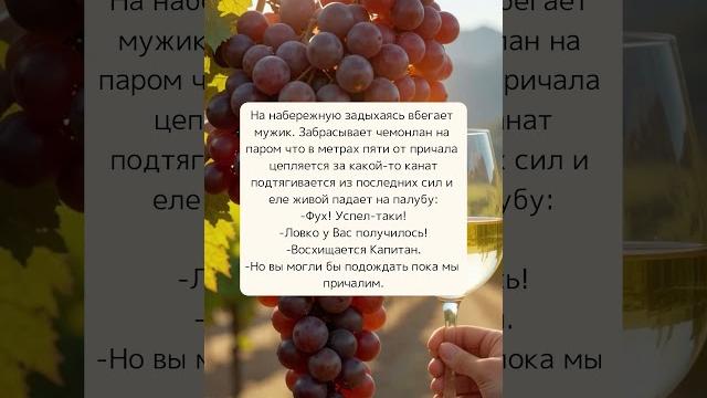 Анекдот мужик опаздывает на корабль Анекдот мужик опаздывает на корабль