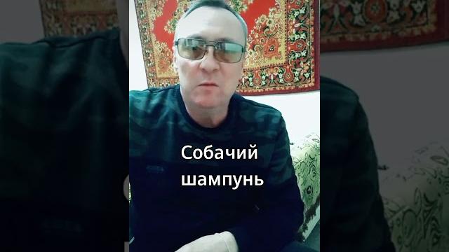 Собачий шампунь смешное видео Собачий шампунь смешное видео