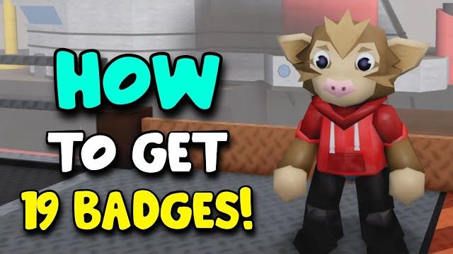 How to get 19 badges in pig64! How to get 19 badges in pig64!