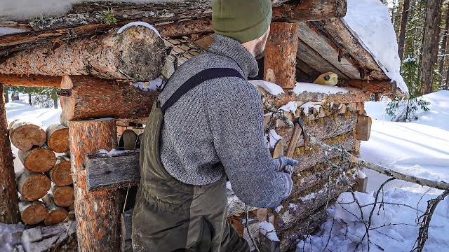 Hiding in an abandoned log cabin in the wilderness. Hiding in an abandoned log cabin in the wilderness.