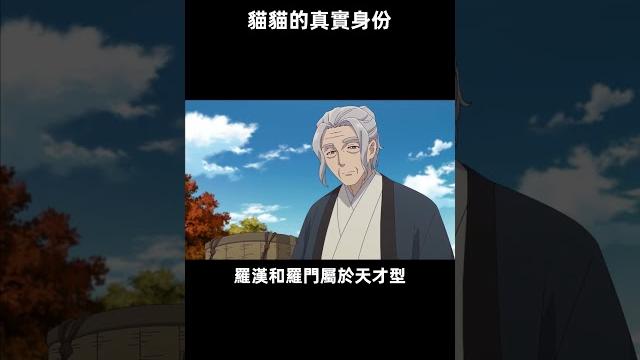 猫猫的真实身份 猫猫的真实身份