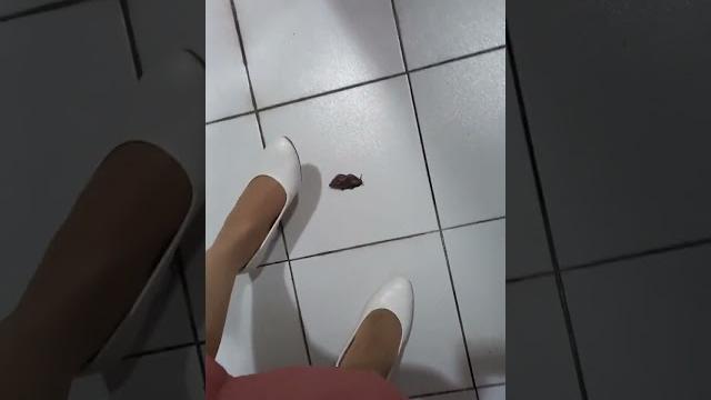 #snail crushing #crushfetish #snail #heels #snail crushing #crushfetish #snail #heels