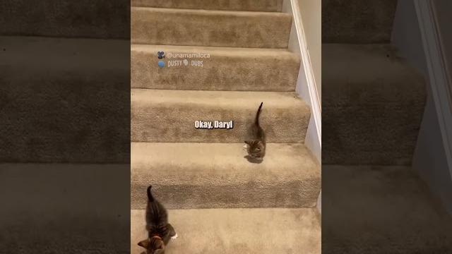 Stairs are very treacherous : unamamiloca (tiktok), #shorts Stairs are very treacherous : unamamiloca (tiktok), #shorts