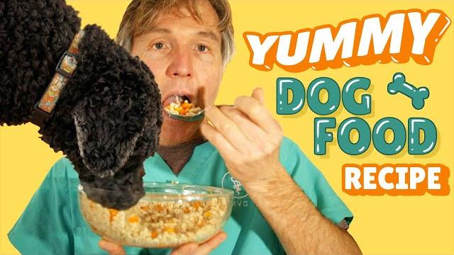 Dog food recipe for allergies Dog food recipe for allergies