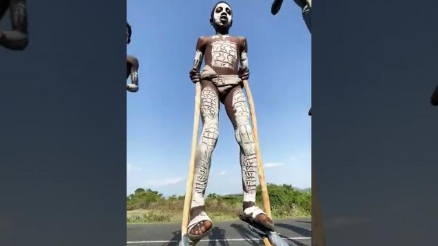 The tribe that uses stilts in ethiopia. The tribe that uses stilts in ethiopia.
