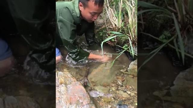 118. 莫离哥 抓鱼十年,从未失手过 118. 莫离哥 抓鱼十年,从未失手过