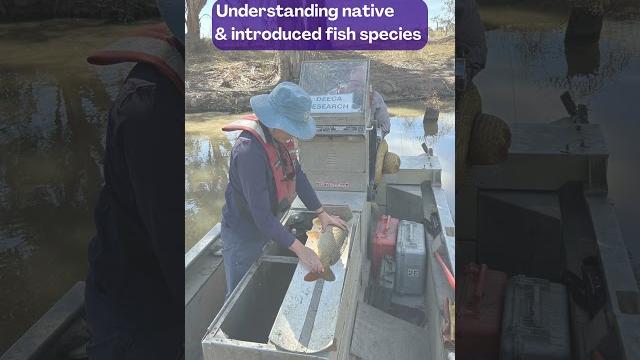 What is electrofishing? What is electrofishing?