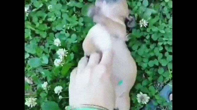 Хватит меня щекотать Хватит меня щекотать